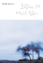 호랑이는 왜 바다로 갔나(문학동네 장편소설)